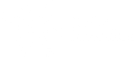 logo-goias-carrinhos-branca